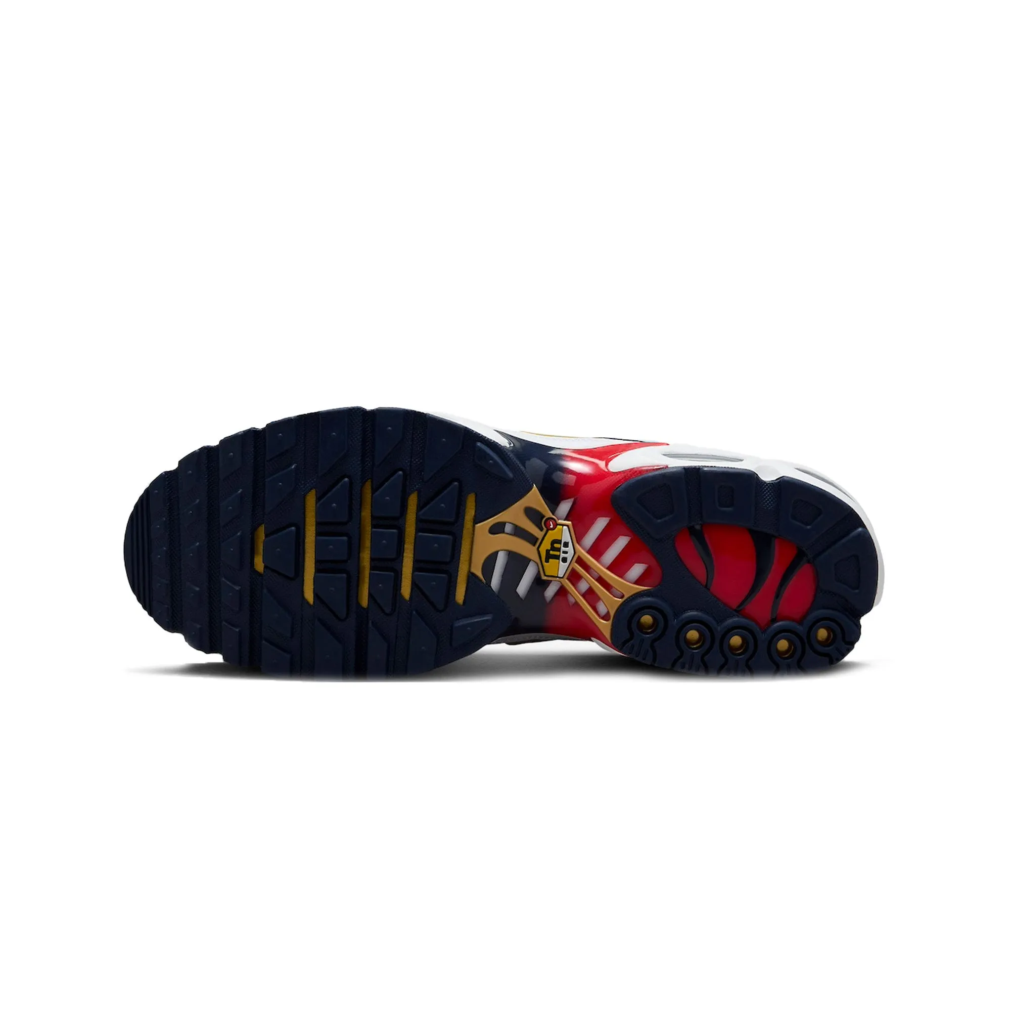 Nike Air Max Plus TN x Paris Saint-Germain 'Home Kit' (2024) Matte Base