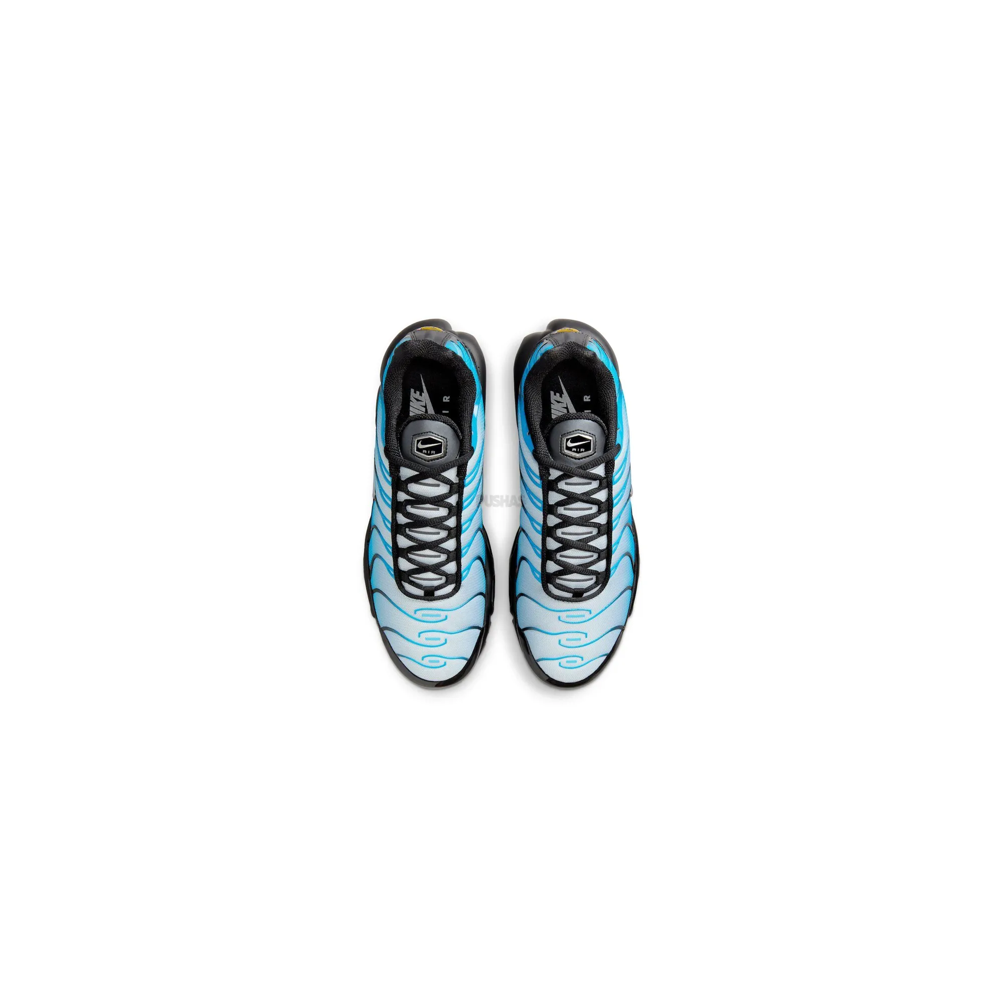 Daily Essential Nike Air Max Plus TN 'Neptune / Blue Gradient' (2023)