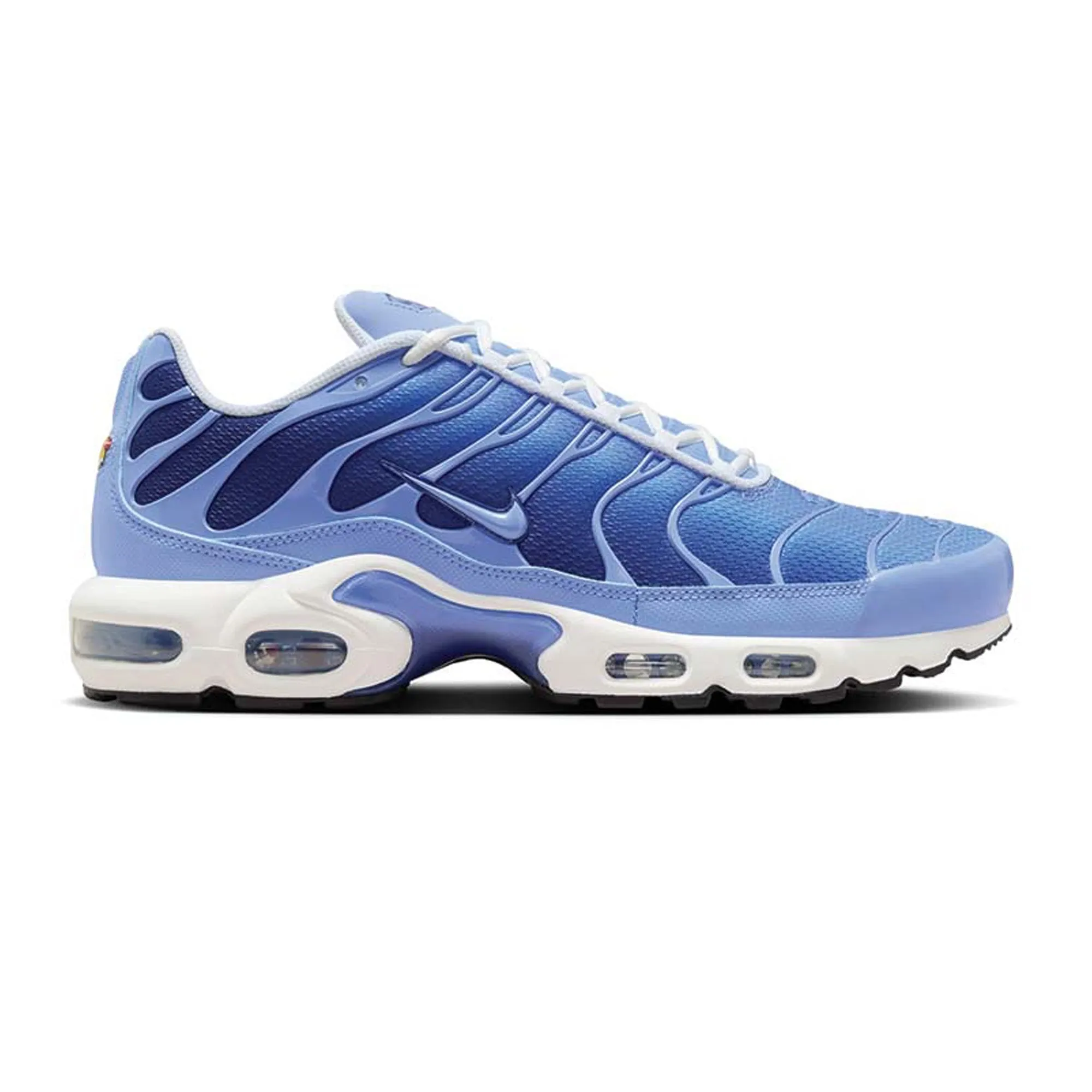 Nike Air Max Plus TN 'Royal Pulse' Chic Cool