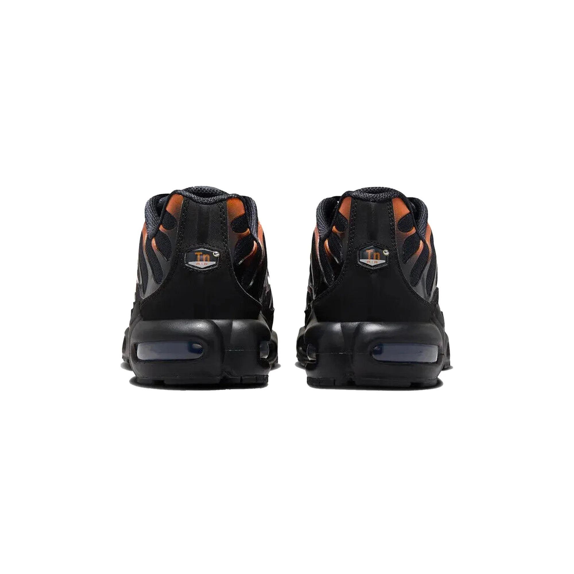 Nike Air Max Plus TN 'Dark Obsidian Monarch' (2024) Air Dry