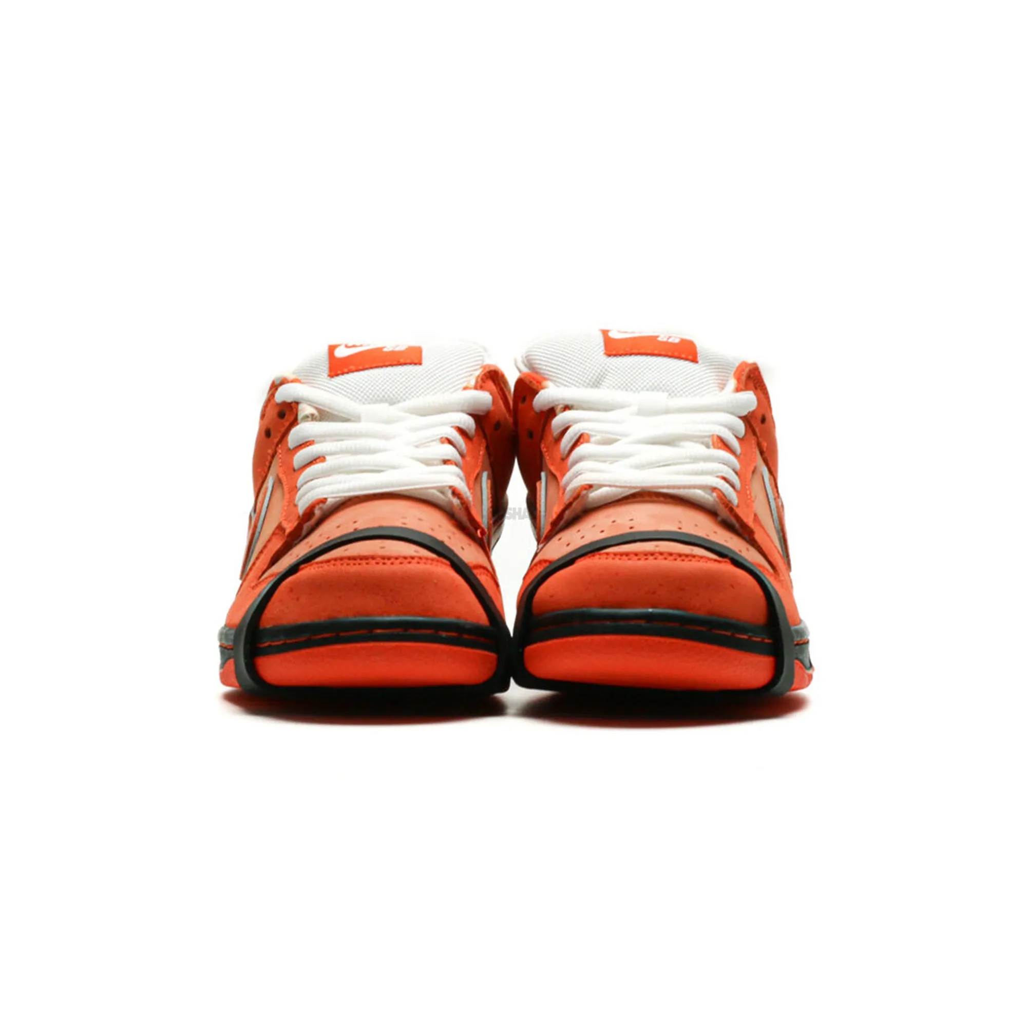 Cushioned Base Busy Professionals Nike SB Dunk Low x Concepts 'Orange Lobster' (2022)