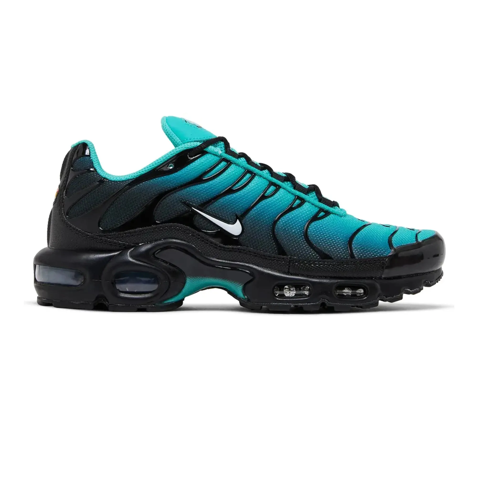 Nike Air Max Plus TN 'Black Aqua' (2023) Frost Safe Day Long