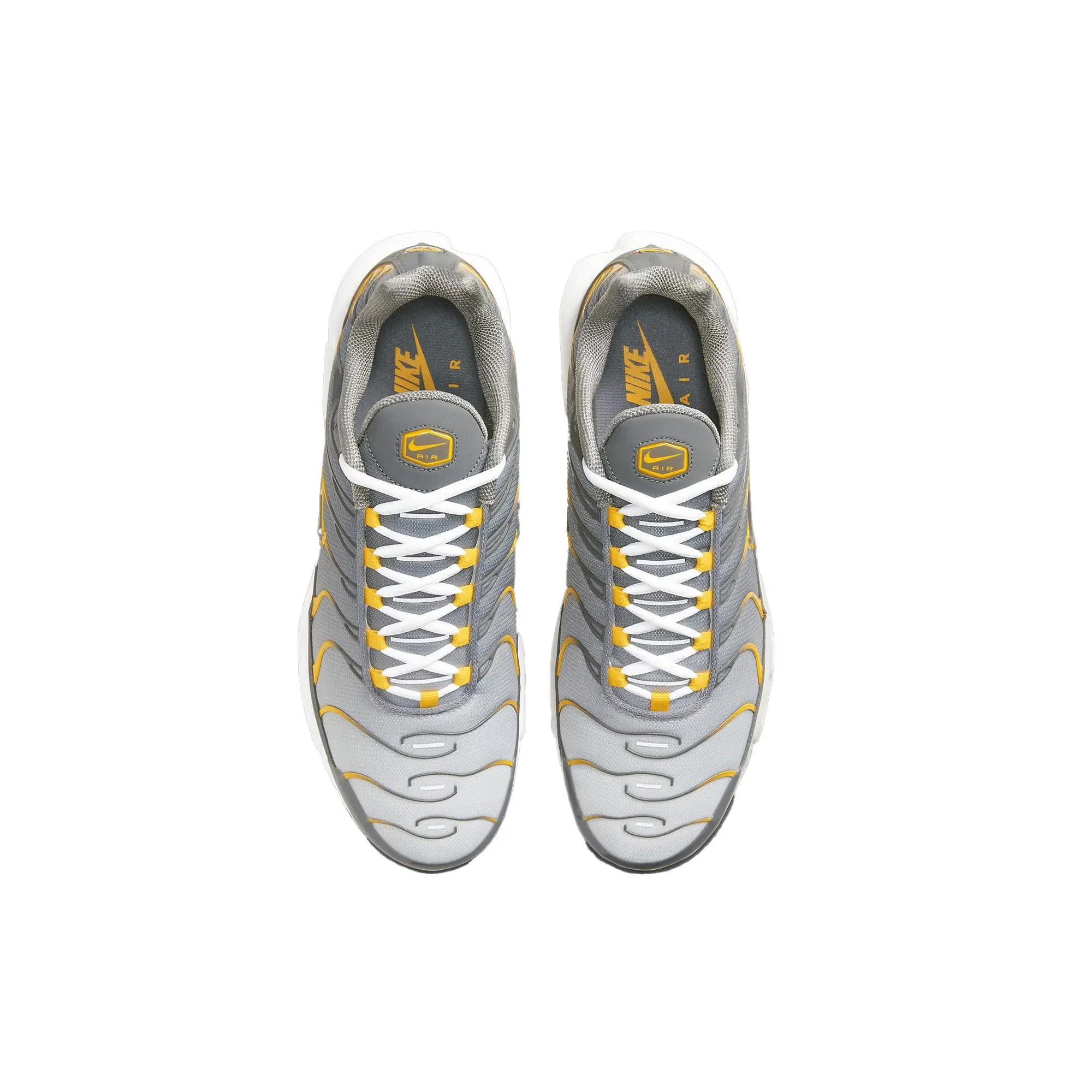 Air Max TN Plus 'Sulphur' Garden Walk