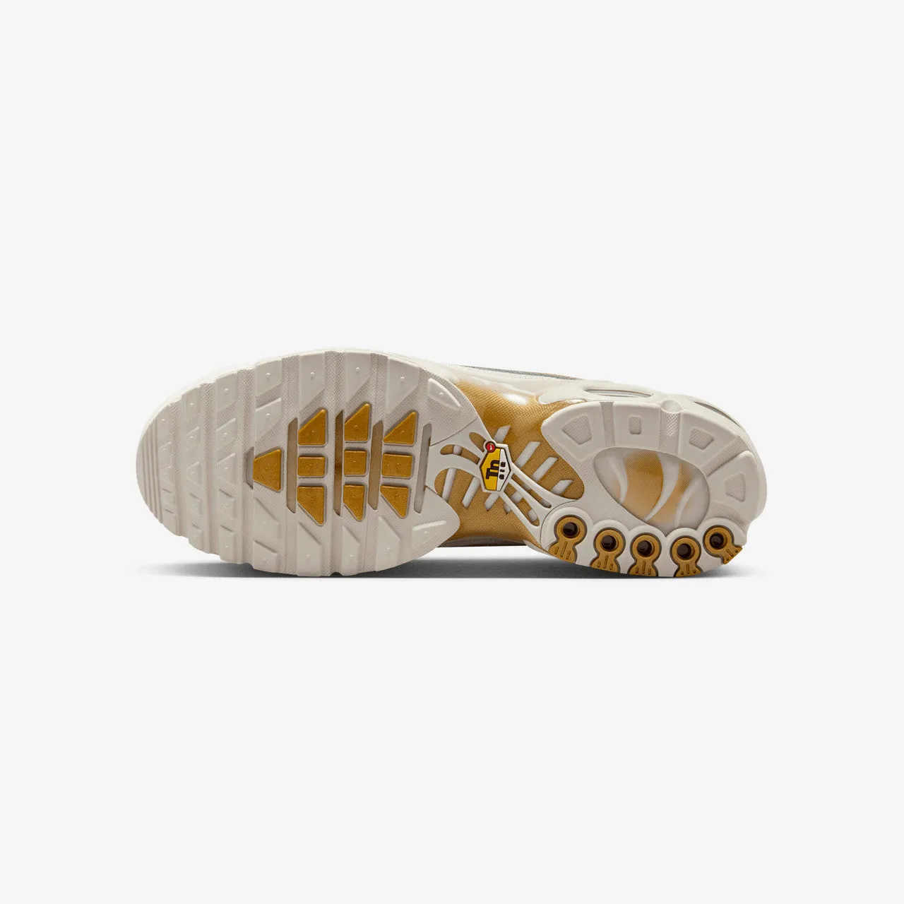 Air Max Plus TNPO Foot Ease