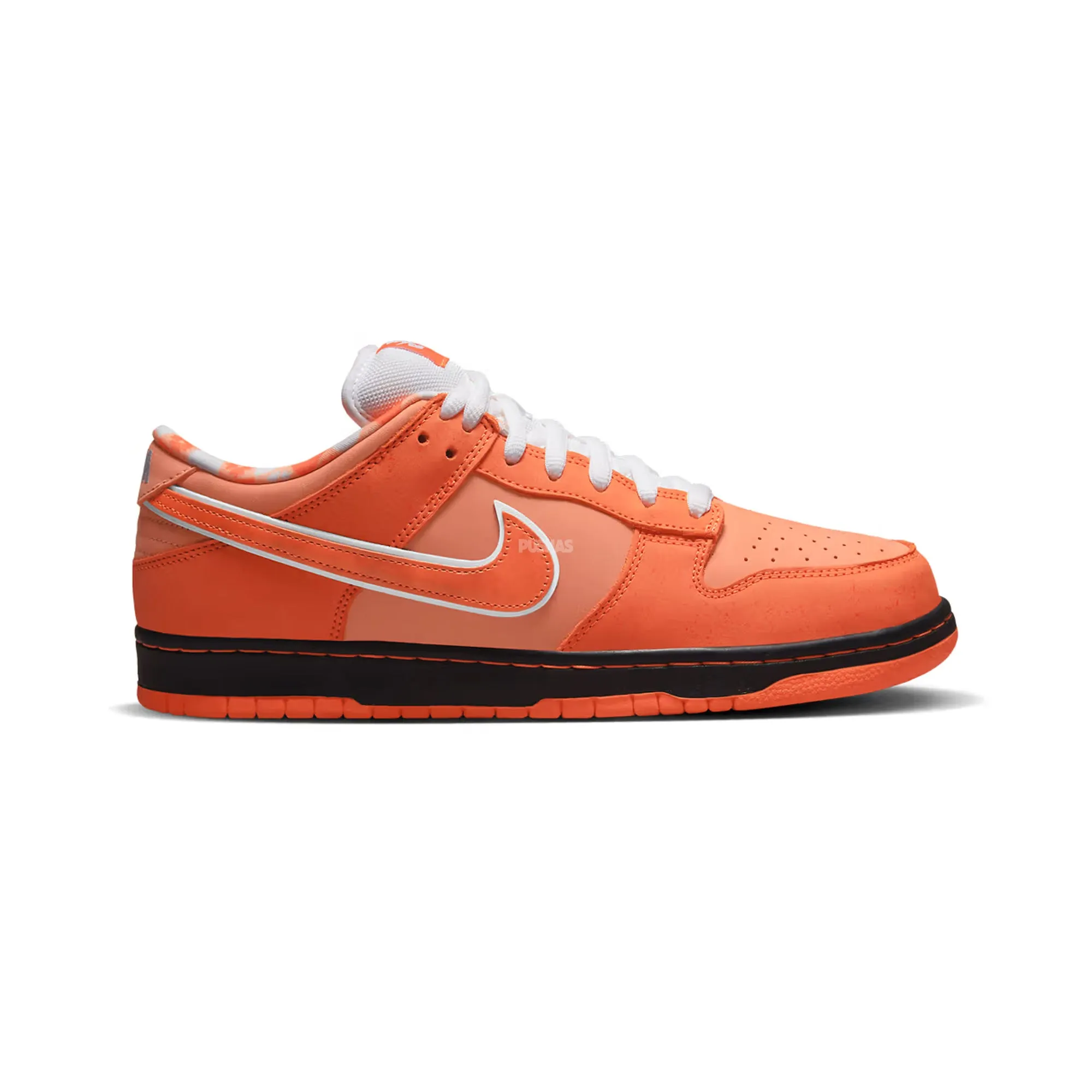 Nike SB Dunk Low 'Concepts Orange Lobster' (Special Box) (2022) Flexible Fit Travel Must