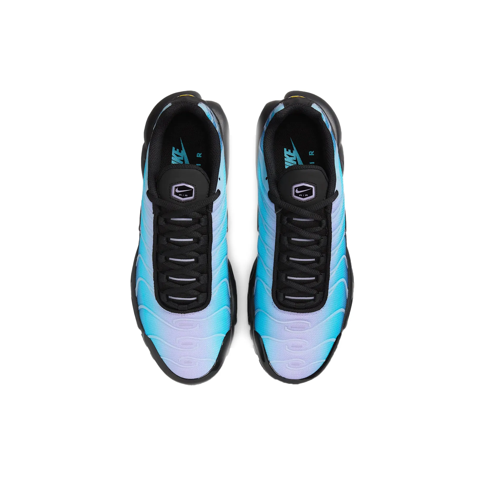 Nike Air Max Plus TN 'Black Hydrangeas' Women's Memory Foam Casual Wear