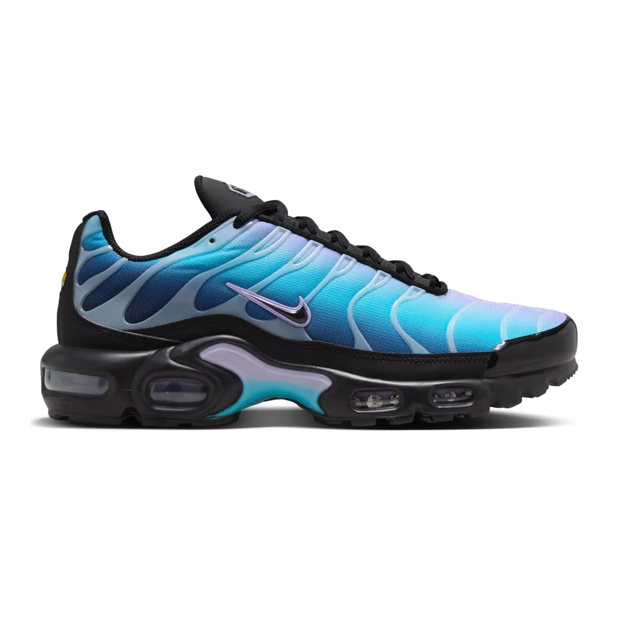 Nike Air Max Plus TN 'Black Hydrangeas' Women's Brave Walk Luggage Fit