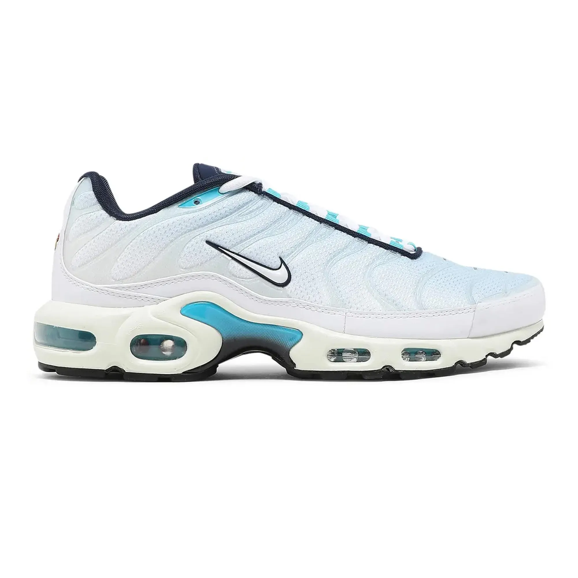 Air Max TN Plus 'Psychic Blue' Reinforced Seams