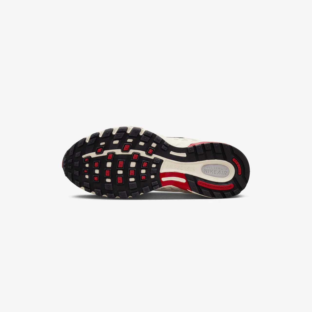 Earth Base Padded collar Wmns Nike Air Pegasus 2005