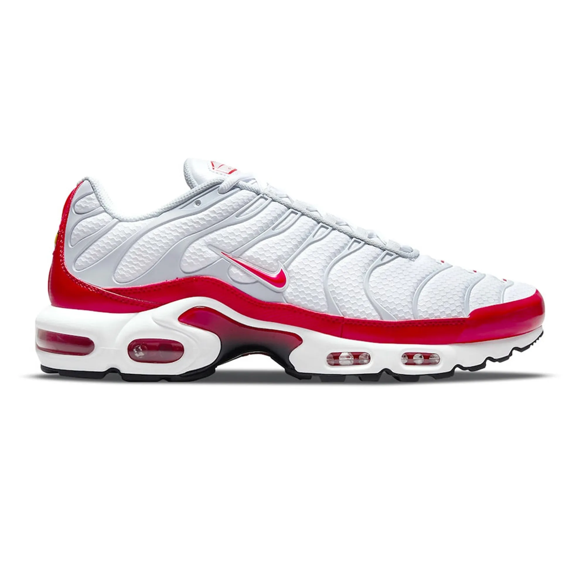 Dust Free Year Trust Air Max TN Plus 'Air Max 1'