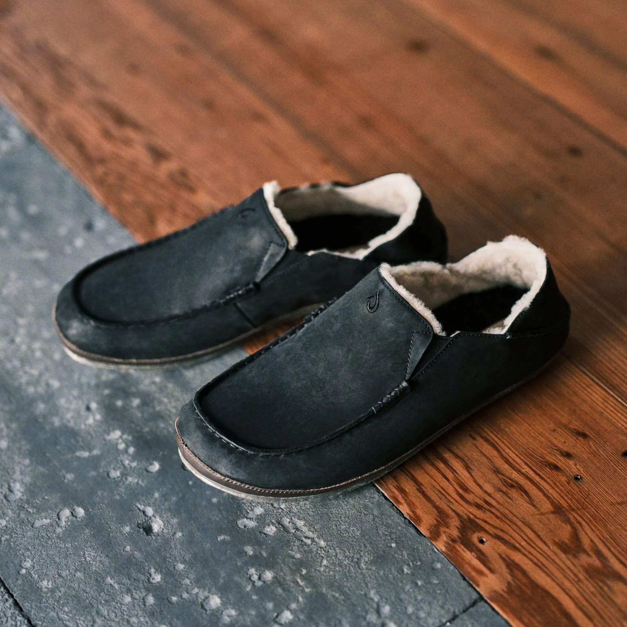 Molo Slipper  -  Black / Dk Java Comfort Memory Foam Classic