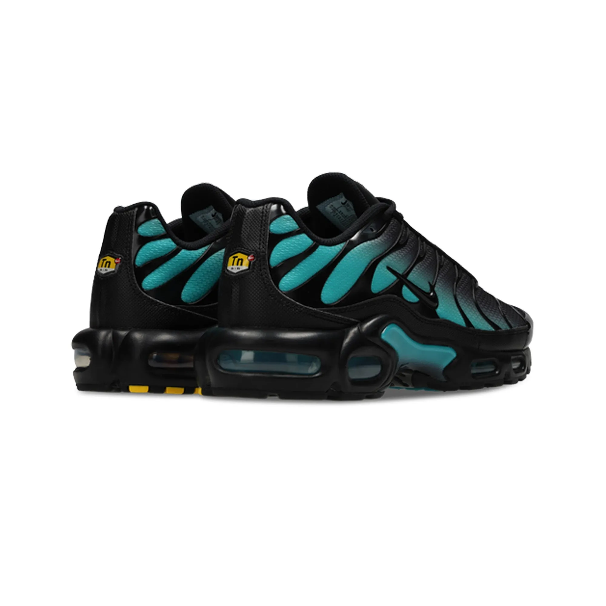 Sweat Resistant Comfort Seekers Nike Air Max Plus TN 'Black Dusty Cactus' (2025)
