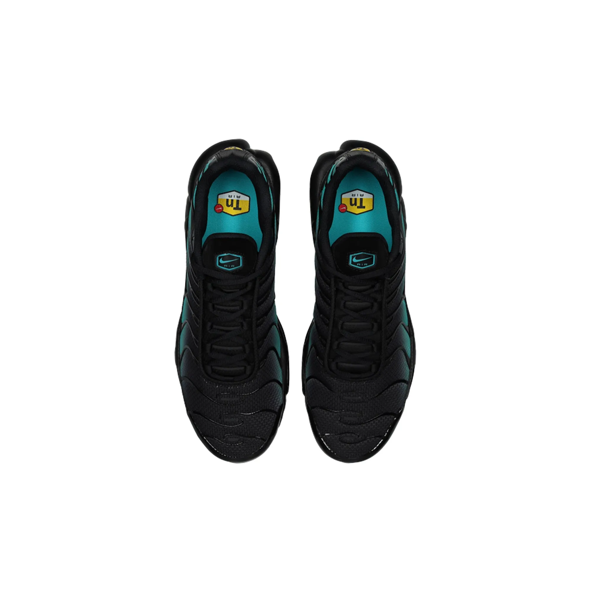 Step Tall Storm Proof Nike Air Max Plus TN 'Black Dusty Cactus' (2025)