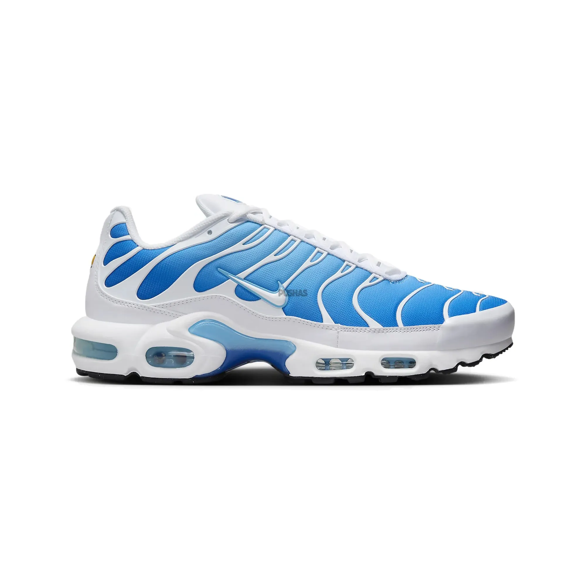 Posture aid Park Day Nike Air Max Plus TN 'Battle Blue / Sky Blue' (2024)